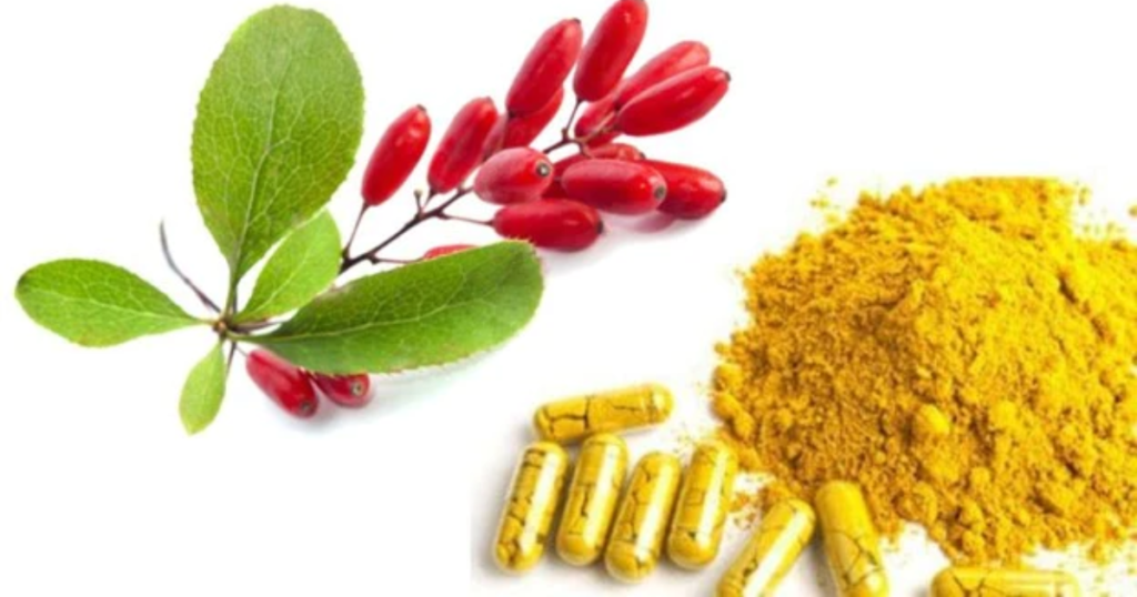 best time to take berberine for weight loss
