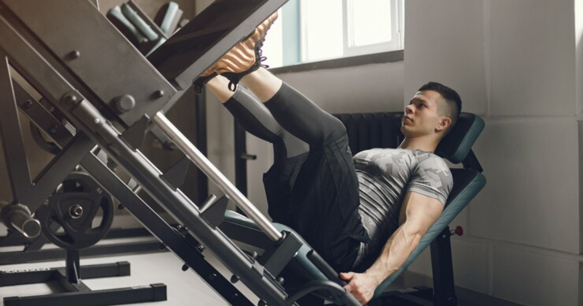 5 Best Average Leg Press Weight For Male - fatyfit.com